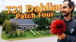 DAHLIA TOUR | Dahlia Mandrew grows Giant Dahlias