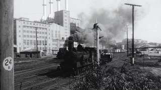 Steam on the Harbour: Darling Harbour's working trains