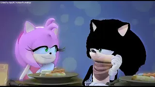 RomAmy y ShadAze promise|Roman the hedgehog|