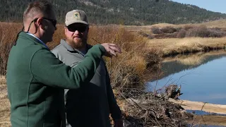 Blackfoot River Restoration Virtual Tour - Spring 2022 edition
