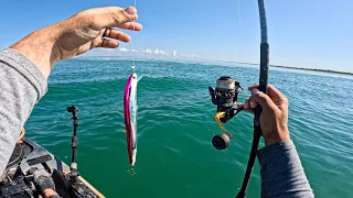 Ravenous! Toothy Predators In Crystal Clear Water | (Catch, Cook)