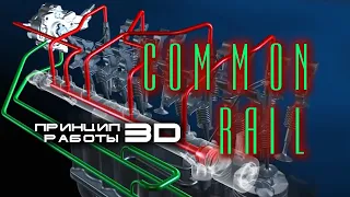 The principle of operation of the Common Rail fuel supply system in 3D.