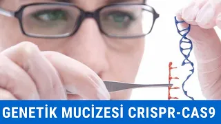 Genetik Mucizesi  CRISPR Cas9
