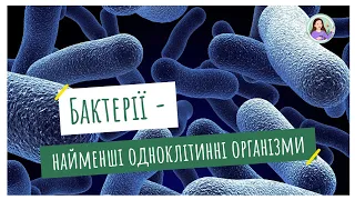 Бактерії - найменші одноклітинні організми