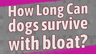 How Long Can dogs survive with bloat?