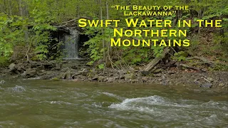 Swift Water on the Lackawanna River ~ 4K Relaxation Nature Film with Ambient Sound