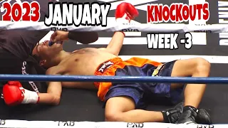 MMA & Boxing Knockouts I January 2023 Week 3