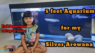 How to make a 5 feet aquarium for Arowana fish at Home | Huge aquarium setup | Elsa and Elna World