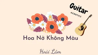 Hoa Nở Không Màu | Hoài Lâm | Acoustic | Guitar - Beat Dễ Hát