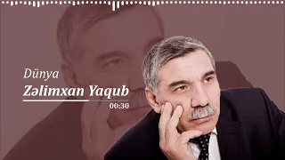 Dünya | Zəlimxan Yaqub | Öz ifasında