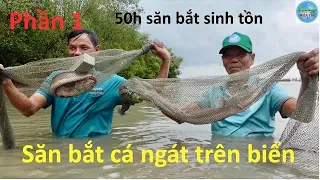 1086 | 50h săn bắt sinh tồn ở vùng biển kiên giang P1