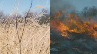 Prescribed Fire On An Illinois Prairie