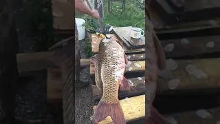 Рыбалка удалась
