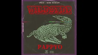 Pappyo -Wildsyde 🐊 [ crocodile teeth remix]