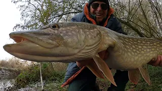 This Huge Fish grabbed my tiny bait, what a result!!