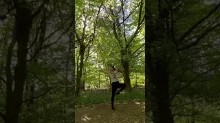 Five Step Fist｜五步拳 Wu Bu Quan｜ Kungfu in the forest