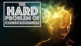 The Hard Problem of Consciousness (Video Essay)