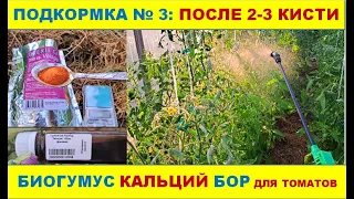 После 2-3 кисти: Кальций Бор Биогумус. Подкормка томатов №3