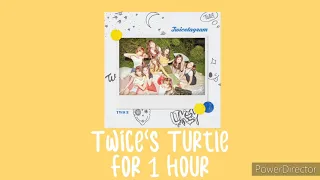 Twice's Turtle For 1 Hour