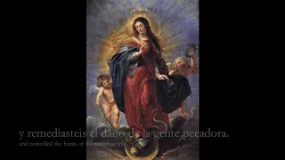 Virgen bendita sin par - St. Joseph's Seminary Schola Cantorum