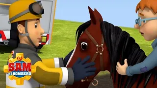 ¡Un caballo necesita ayuda! | Sam el Bombero | Dibujos animados para niños | WildBrain en Español