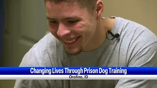 Prison animal program benefits dogs, inmates and the broader North Idaho community | KHQ