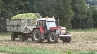 ZD Zderaz siláže 2017/Zetor Crystal/Fendt/Claas