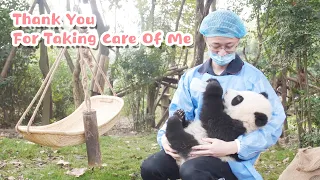 Amazing & Special~ Happy Father’s Day To Panda Mannies! | iPanda
