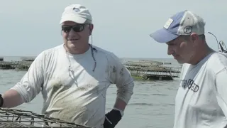 Oyster Farming in the Southern United States Using the OysterGro System