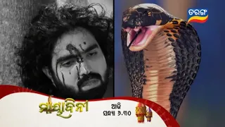 Mayabini ମାୟାବିନୀ | 29th Dec| Episodic Promo-61 |Taang TV# full episode