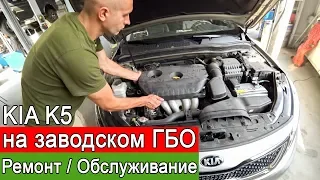 ГБО из Кореи - обслуживание и ремонт. Авто Kia K5, Hyundai на заводском ГБО.