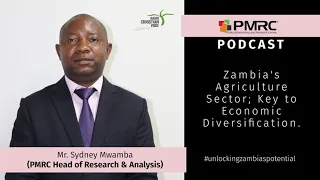 Sydney Mwamba - Zambia's Agriculture Sector; Key to Economic Diversification