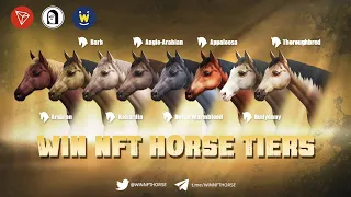 WIN NFT HORSE ещё 1 топ сейл мистери боксов на binance nft. Заработок на NFT.