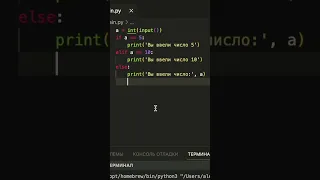 Основы Python урок 3 Условные операторы if, else, elif | #shorts