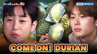 COME ON! DURIAN [Two Days and One Night 4 Ep201-1] | KBS WORLD TV 231203