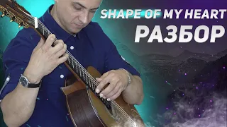 SHAPE OF MY HEART РАЗБОР+ТАБЫ для Начинающих