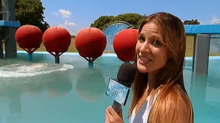 Total Wipeout S04 E04