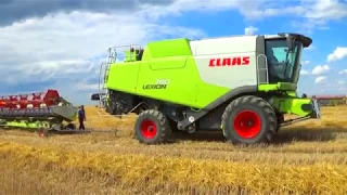 Уборочная компания 2019: Комбайны Claas Lexion 770,760,580,540 начали уборку зерновых в СПК "Гигант"