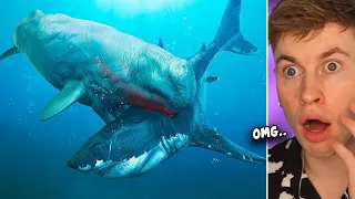 MEGALODON vs. LIVYATAN - Wer würde einen Kampf GEWINNEN?