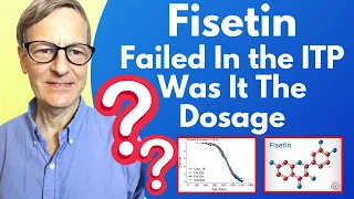 Fisetin Failed In The ITP Trial. Was It The Dosage?