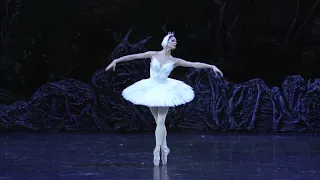 Eleonora Sevenard Swan Lake Debut: variations and codas