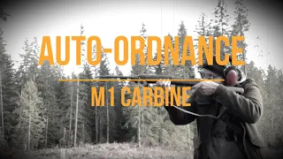 Is a Repro M1 Carbine Worth Owning (Auto-Ordnance)