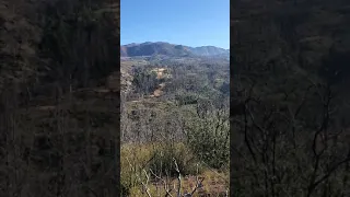 bear creek  mendocino national forest california