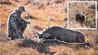 Alberta Archery Mule Deer - Last Day of the Season!