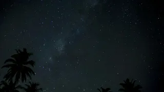 Sounds of the night - In Costa Rica - Jungle Night time
