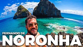 FERNANDO DE NORONHA - O que fazer? Conheça o Paraíso!