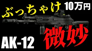 【タルコフ】ぶっちゃけ微妙な新武器AK-12を解説します【5.45x39mm】