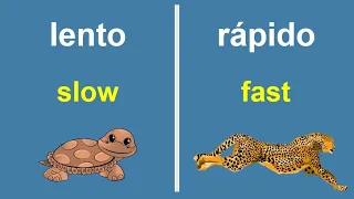 Spanish Opposite Words. Most Important Antonyms in Spanish