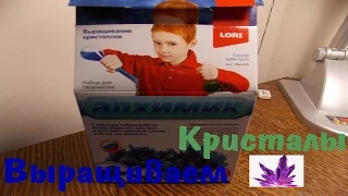 Выращиваем Кристаллы|АЛХИМИК синий кристалл!