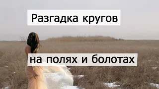 Разгадка кругов на полях и болотах Дальнего Востока России